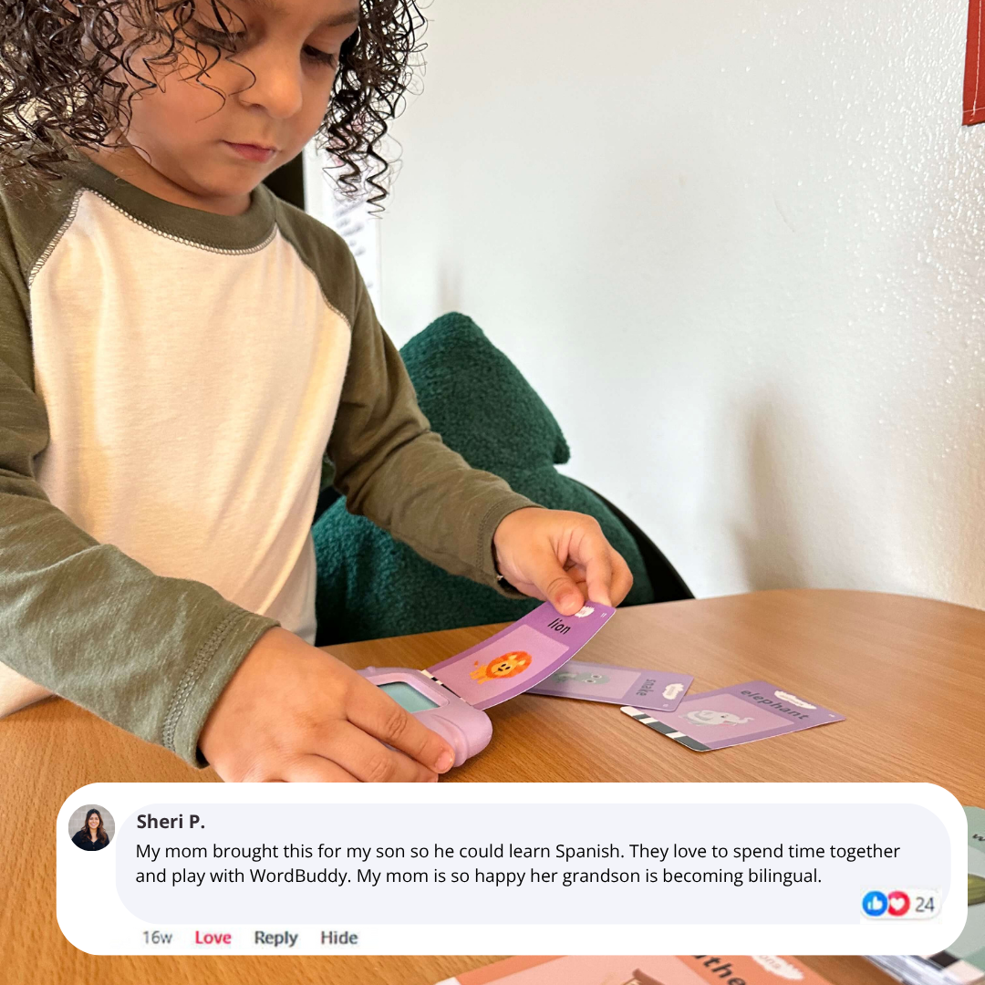 WizKids Smart Cards